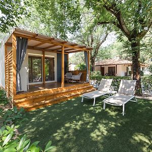 Haustiere erlaubt Superior Cottage mit 1 Schlafzimmer